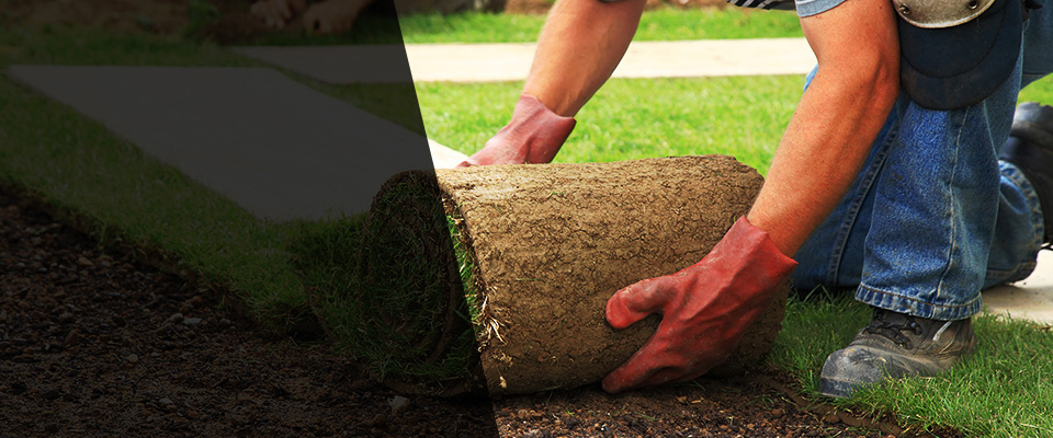Dryden Landscapers